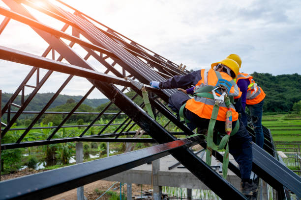 Best Roof Gutter Cleaning  in Albertville, MN