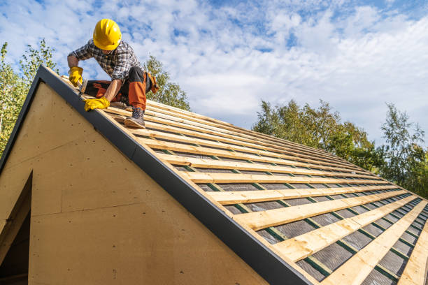 Best Roof Maintenance Services  in Albertville, MN