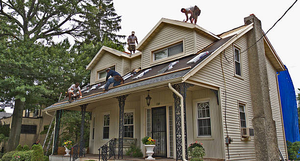 Best Roof Maintenance Services  in Albertville, MN