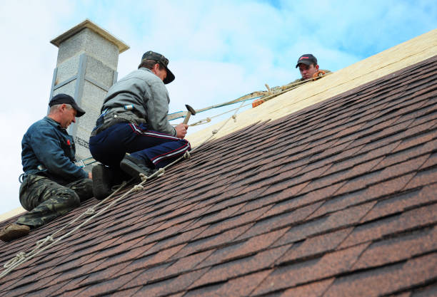 Best Residential Roofing Contractor  in Albertville, MN