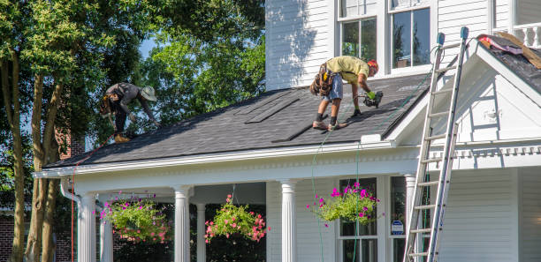 Best Flat Roof Repair Services  in Albertville, MN